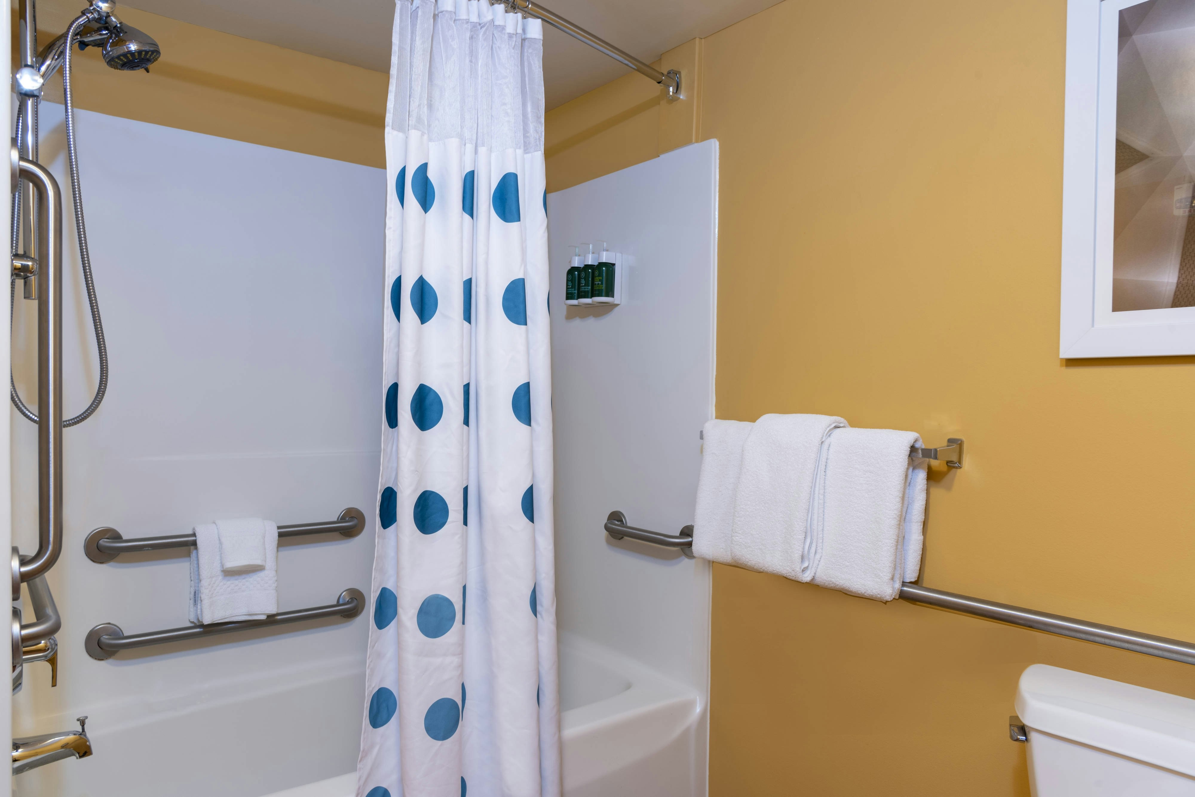 TownePlace Suites by Marriott East Lansing