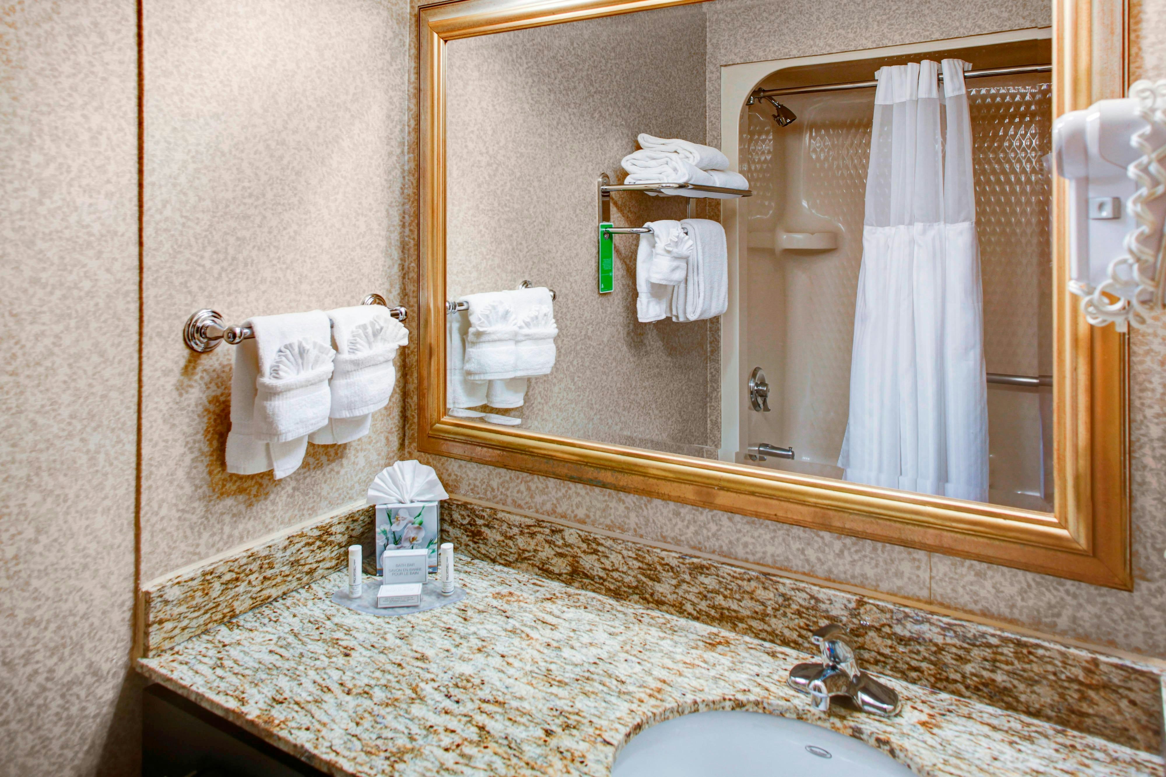 TownePlace Suites by Marriott Atlanta Buckhead