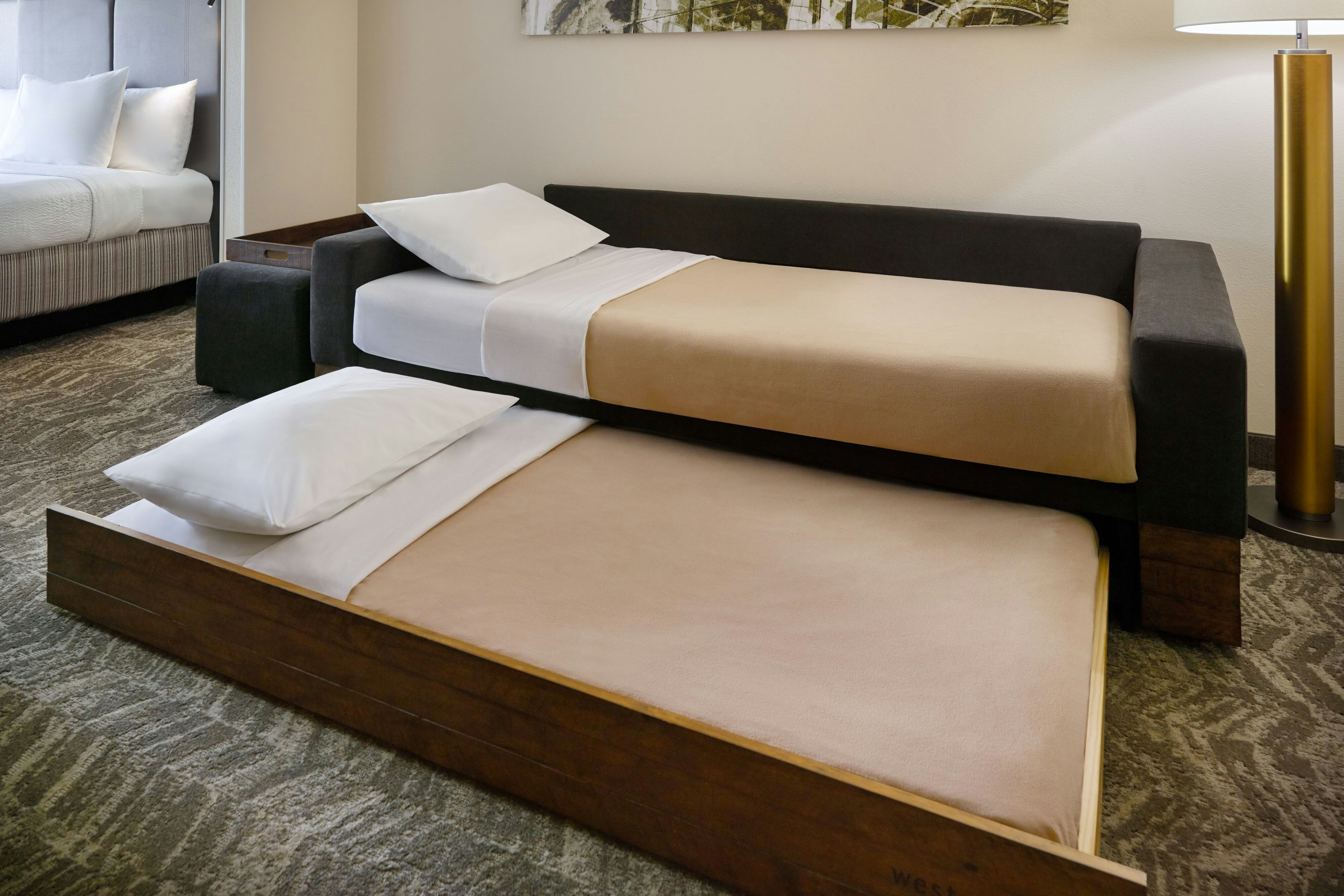 SpringHill Suites by Marriott Raleigh-Durham Airport/Research Triangle Park