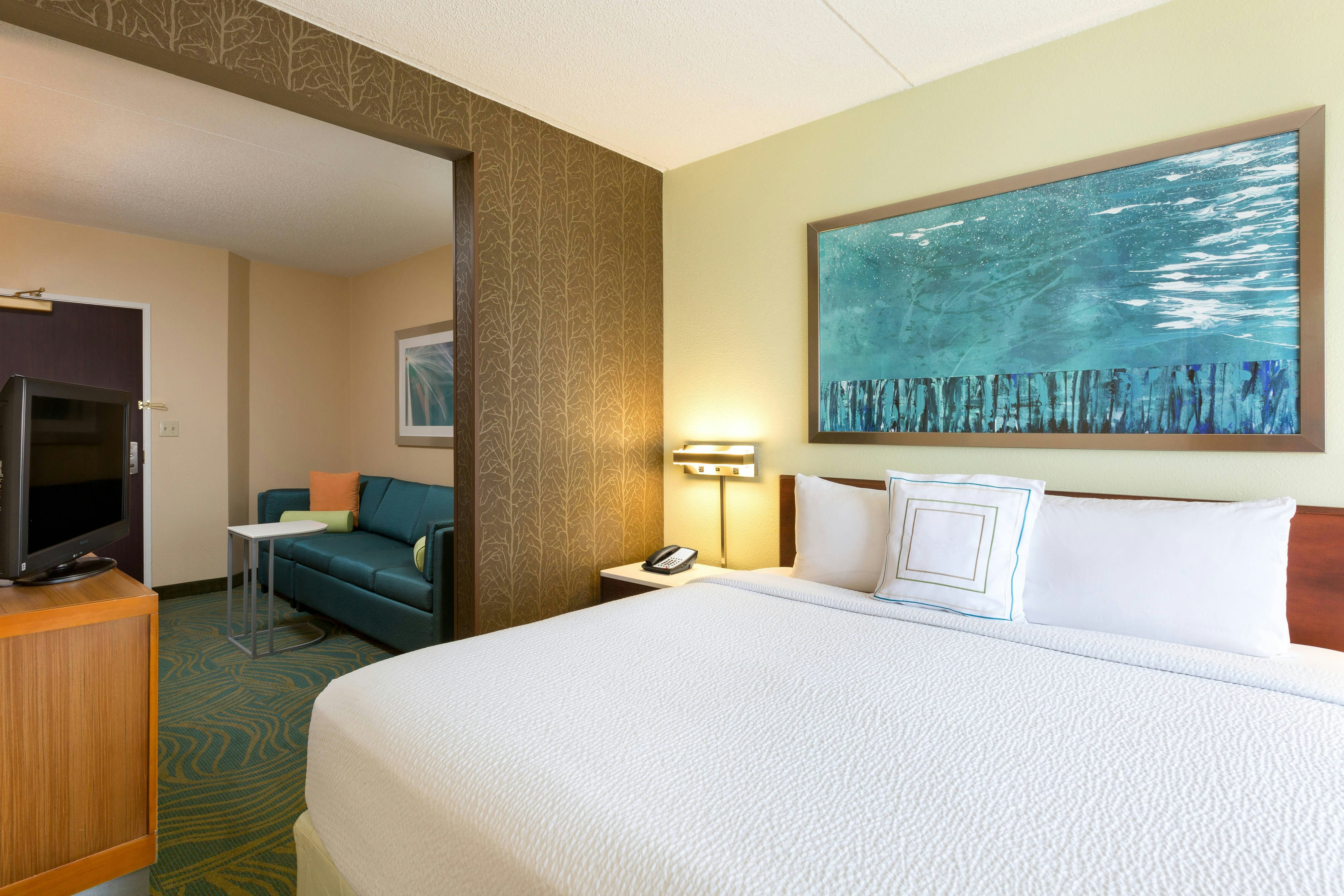 SpringHill Suites by Marriott Austin South