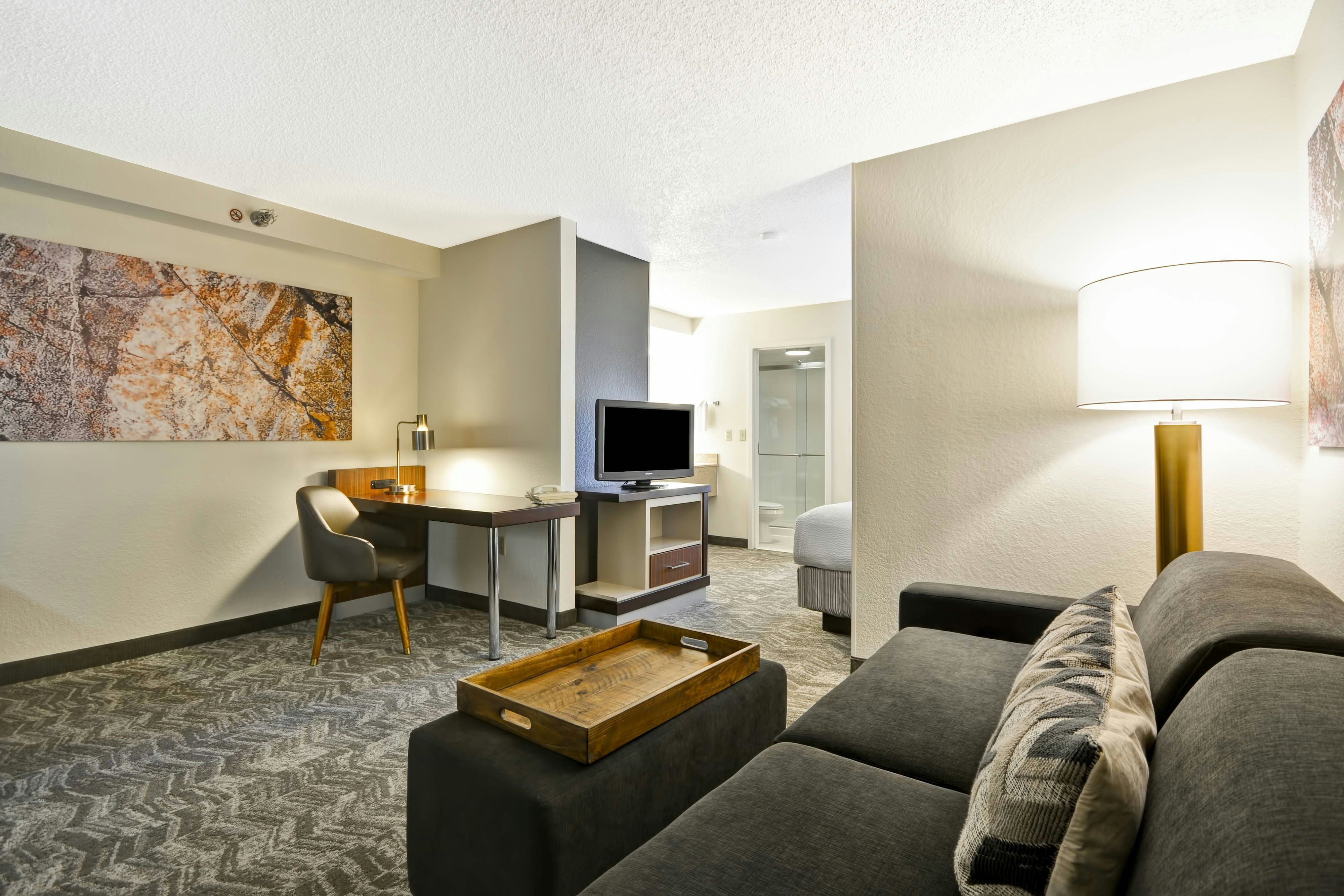 SpringHill Suites by Marriott San Antonio Medical Center/Northwest