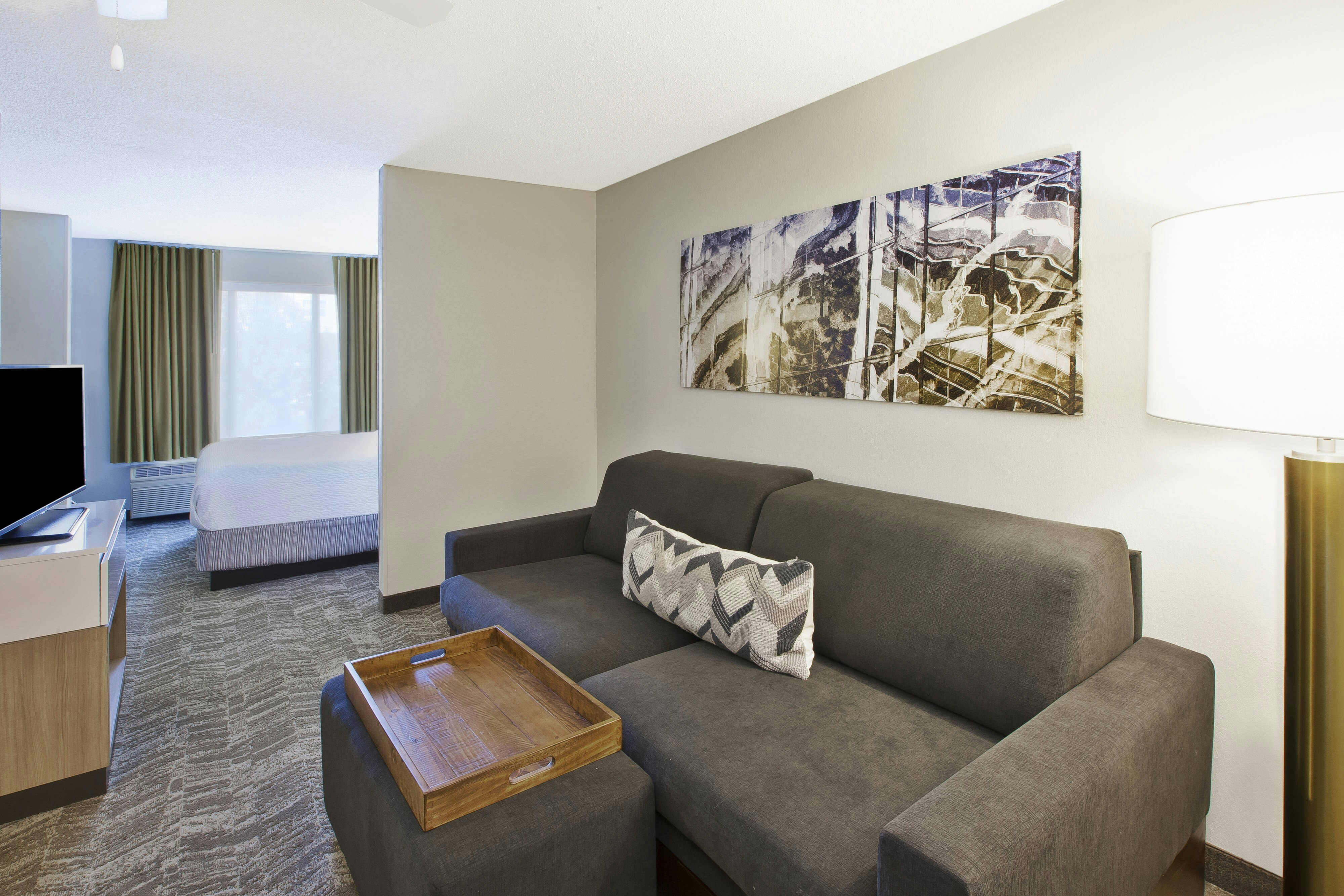 SpringHill Suites by Marriott Minneapolis-St. Paul Airport/Eagan
