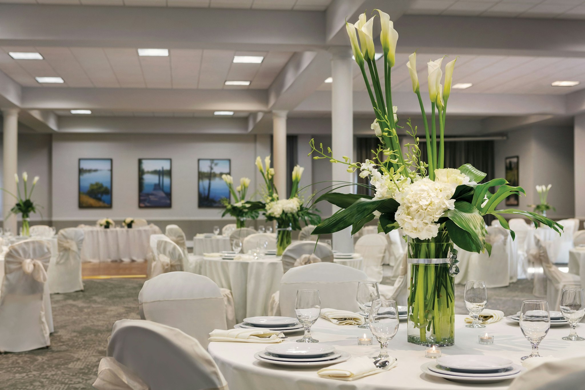 Venue gallery photo