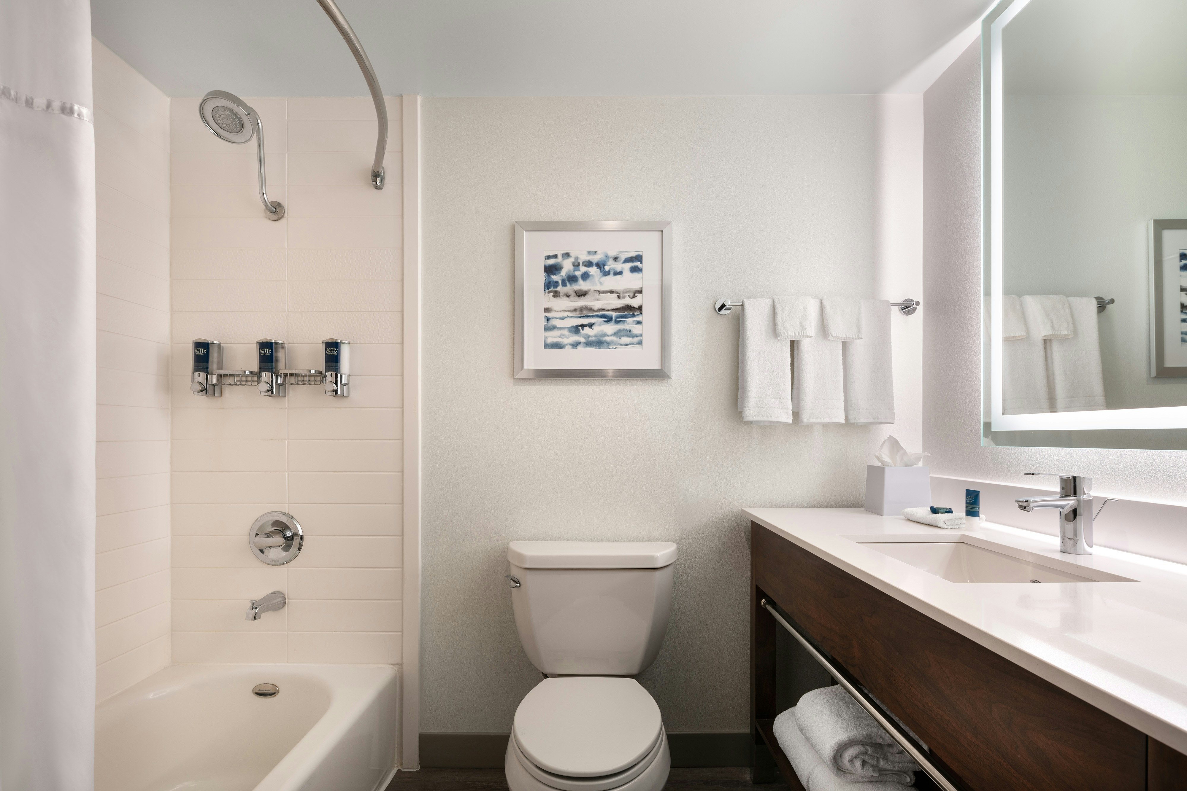 Four Points by Sheraton Hotel & Suites San Francisco Airport