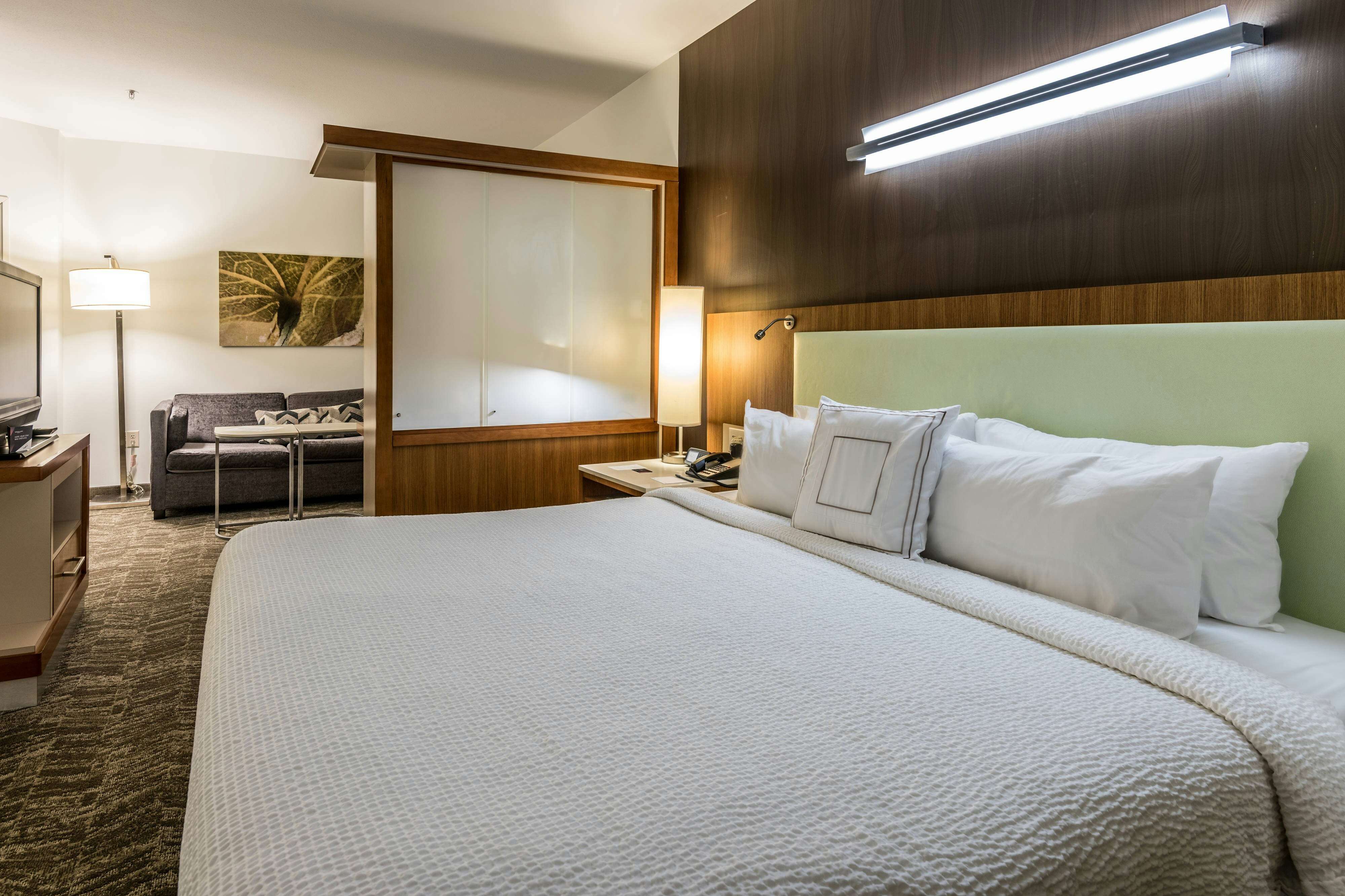 SpringHill Suites by Marriott Statesboro University Area
