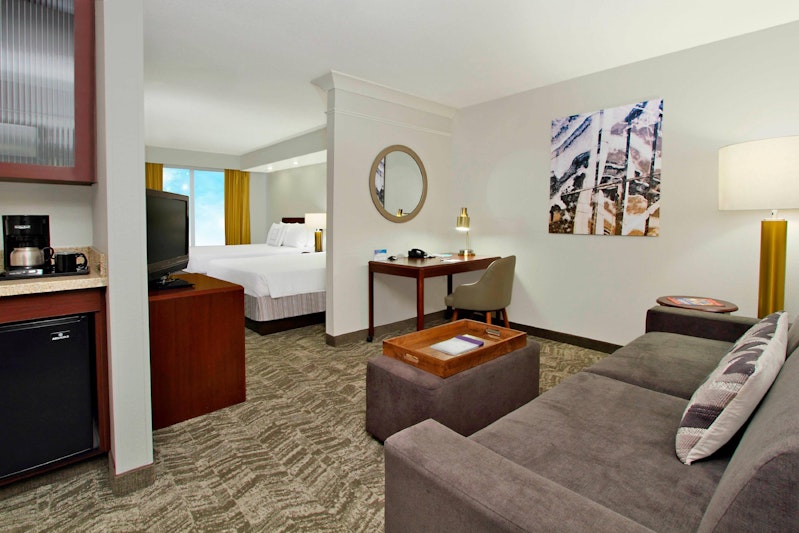 SpringHill Suites by Marriott Chesapeake Greenbrier