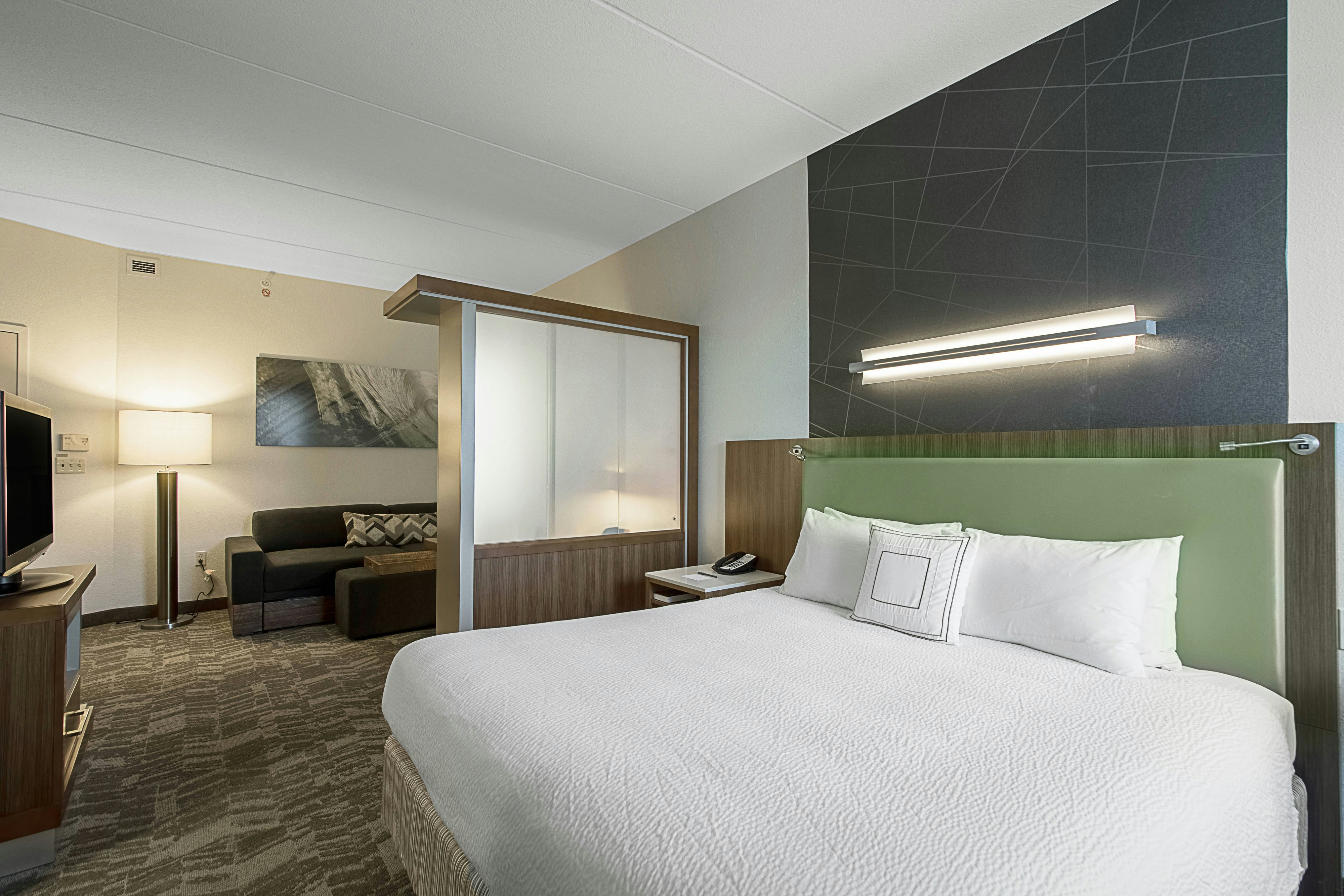SpringHill Suites by Marriott Tampa North/I-75 Tampa Palms