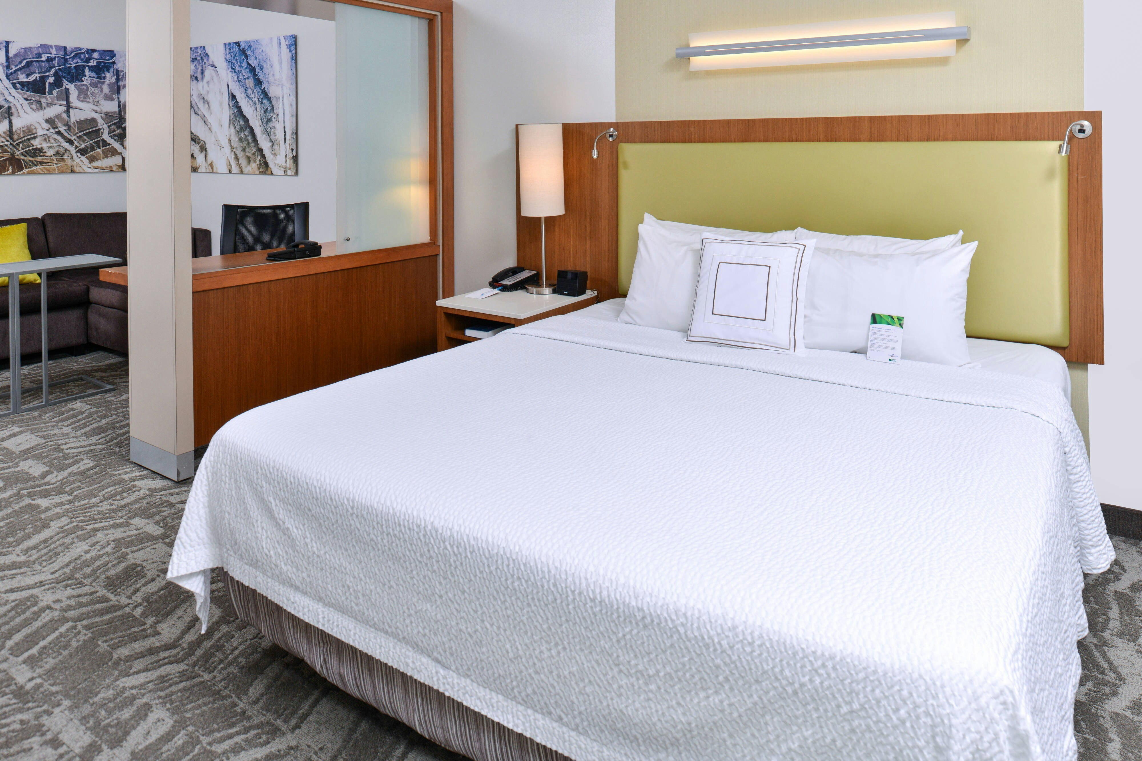 SpringHill Suites by Marriott Detroit Metro Airport Romulus