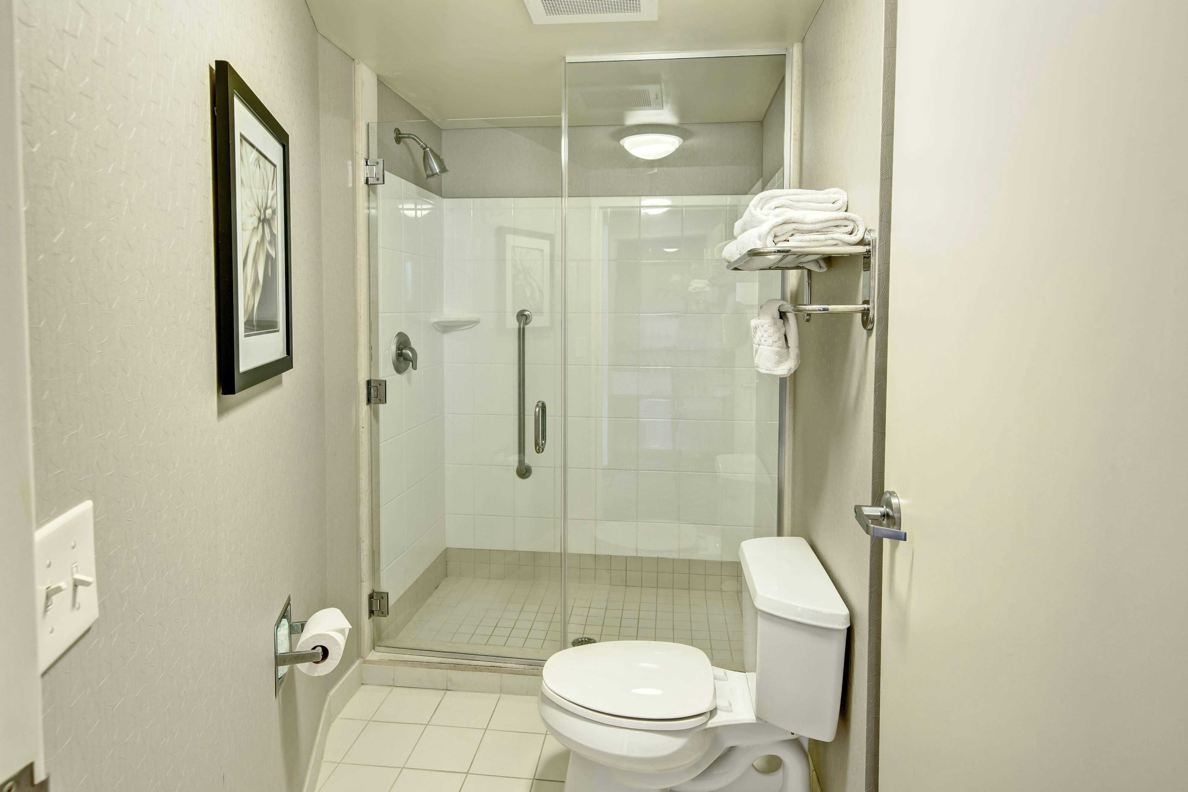 SpringHill Suites by Marriott New Bern