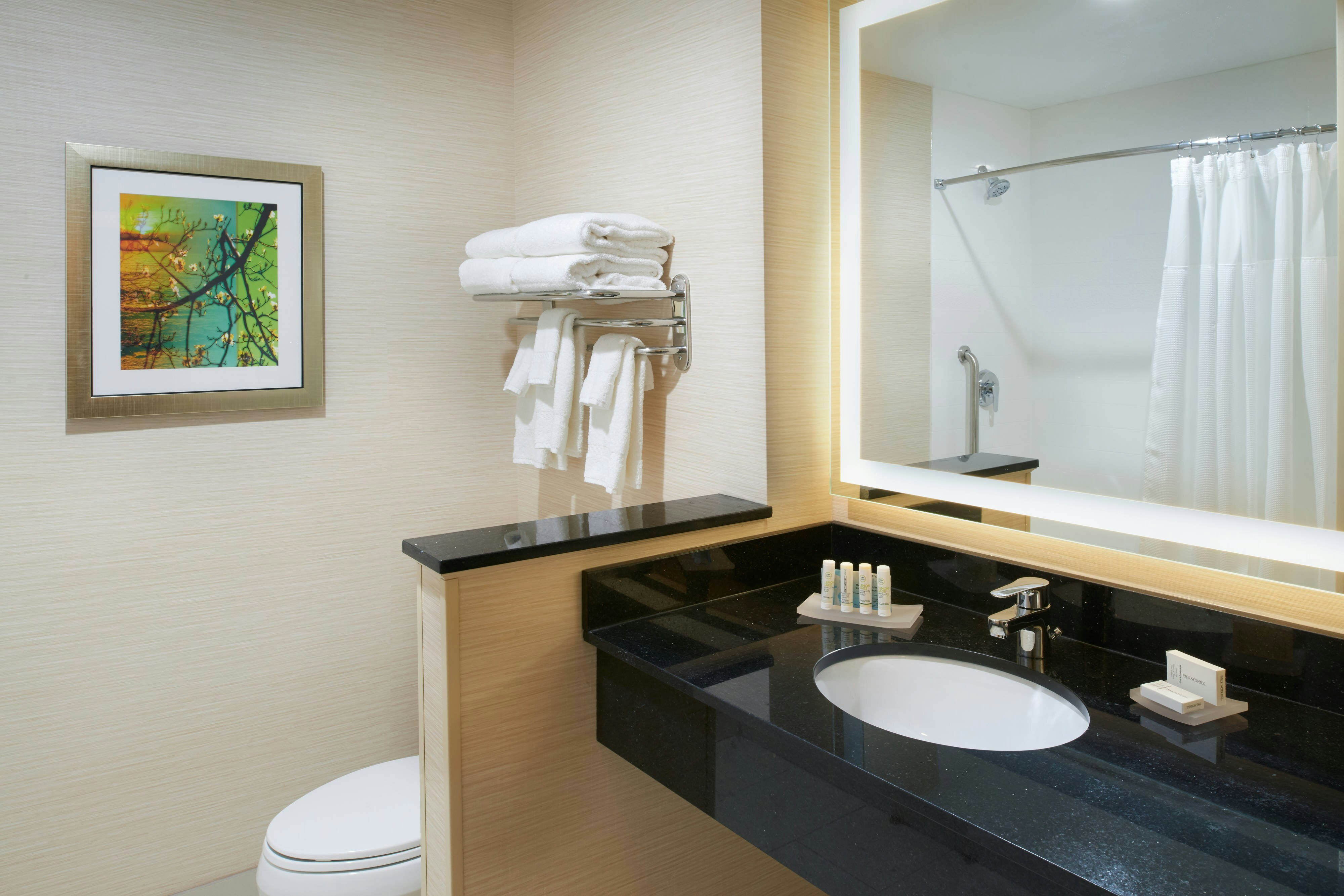 Fairfield by Marriott Inn & Suites Detroit Troy