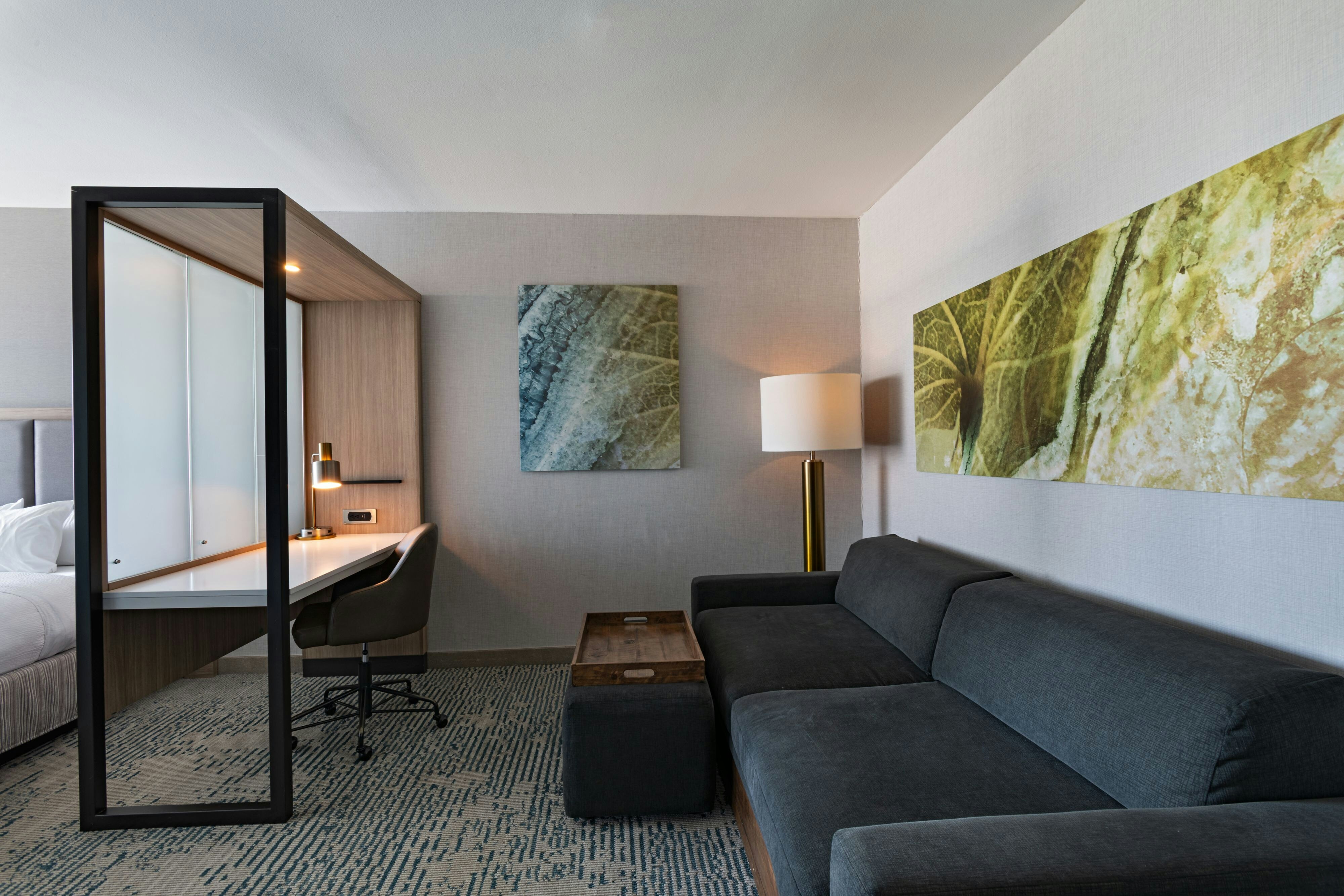 SpringHill Suites by Marriott Austin Cedar Park
