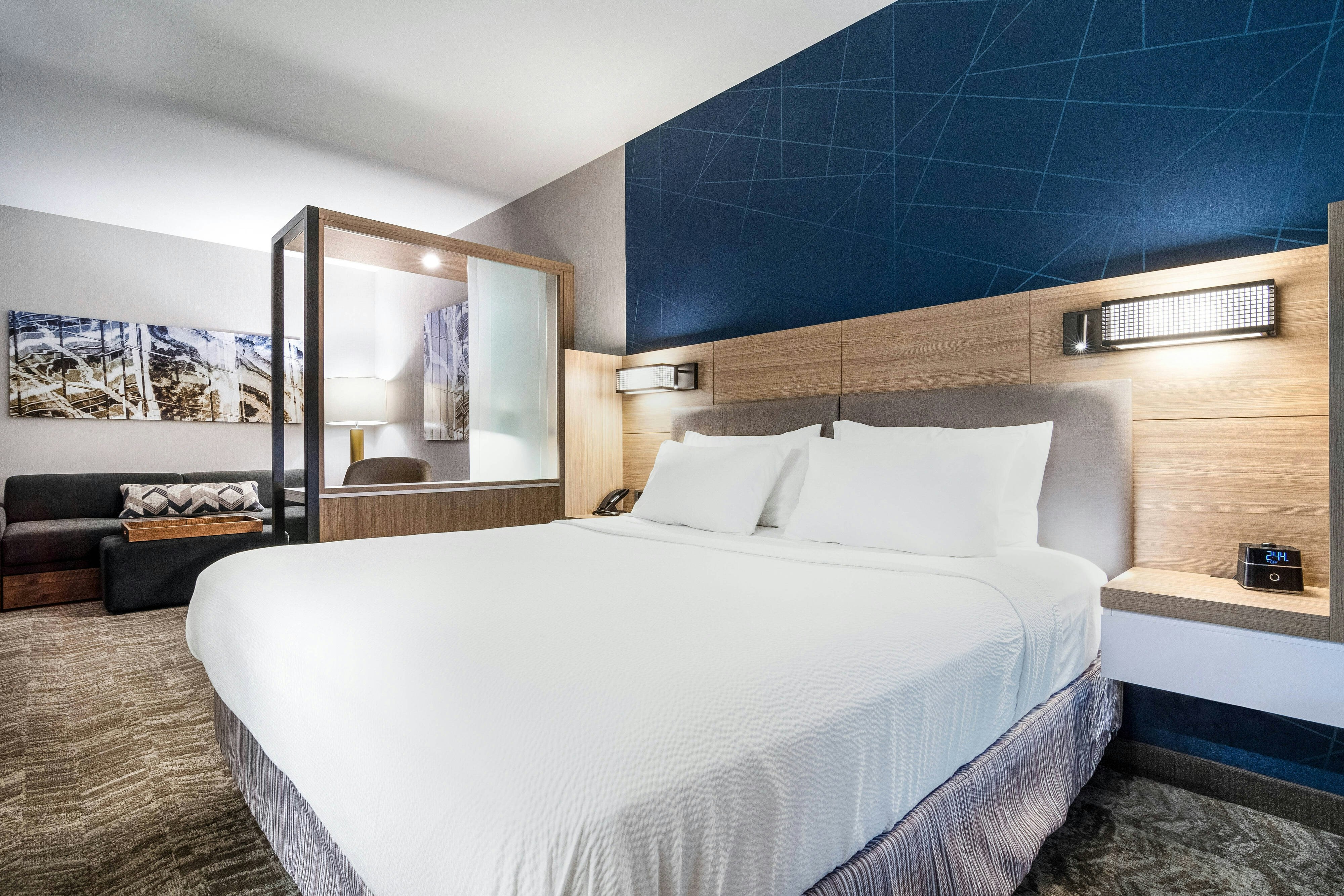 SpringHill Suites by Marriott Charleston Airport & Convention Center