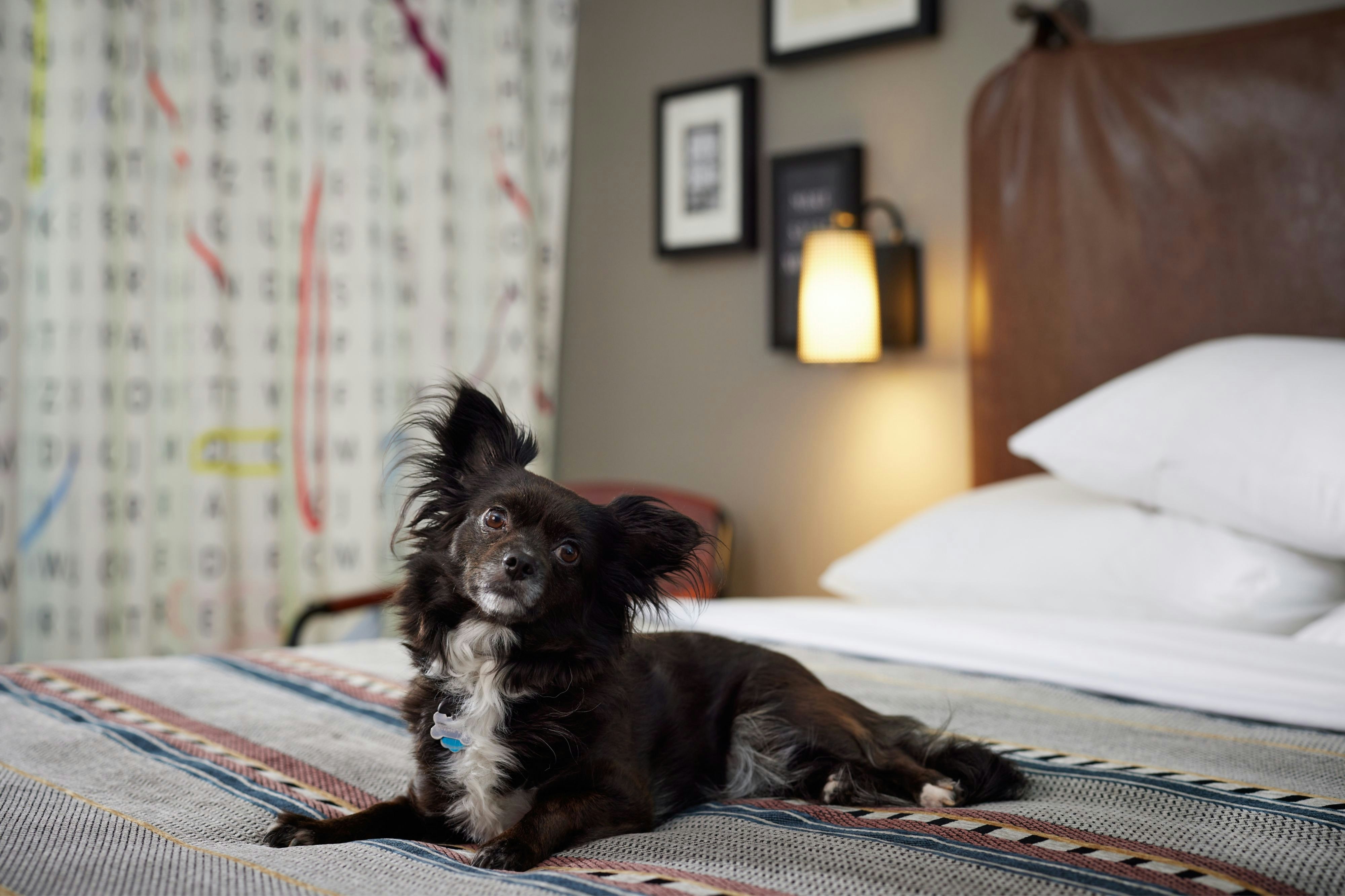 Moxy Austin – University