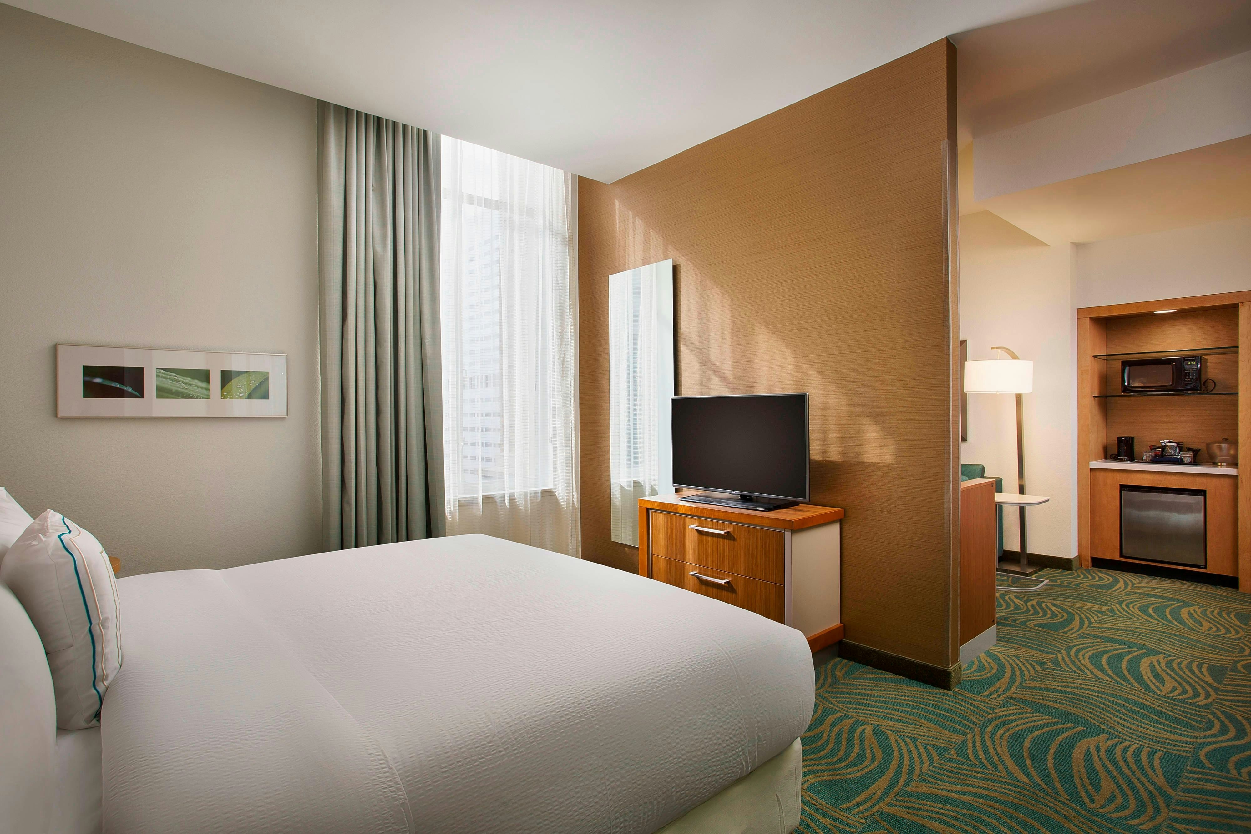 SpringHill Suites by Marriott Houston Downtown/Convention Center
