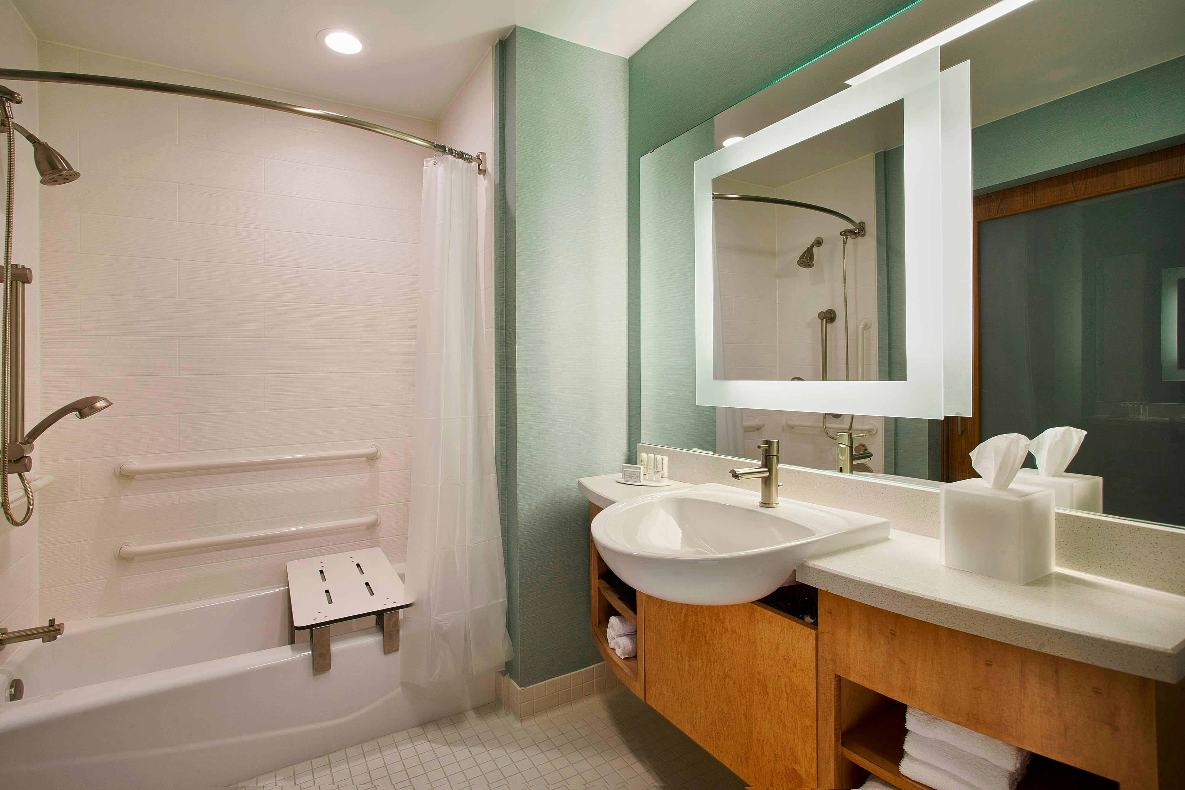 SpringHill Suites by Marriott Houston Downtown/Convention Center