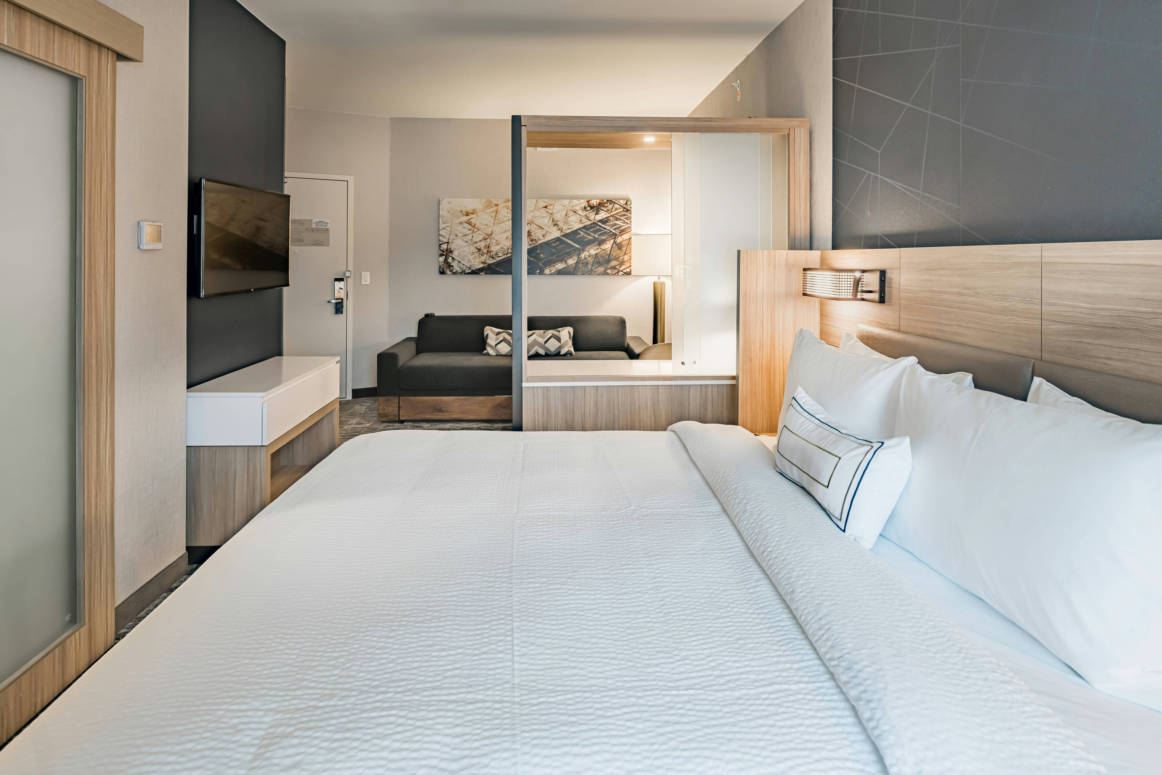 SpringHill Suites by Marriott Dallas McKinney/Allen