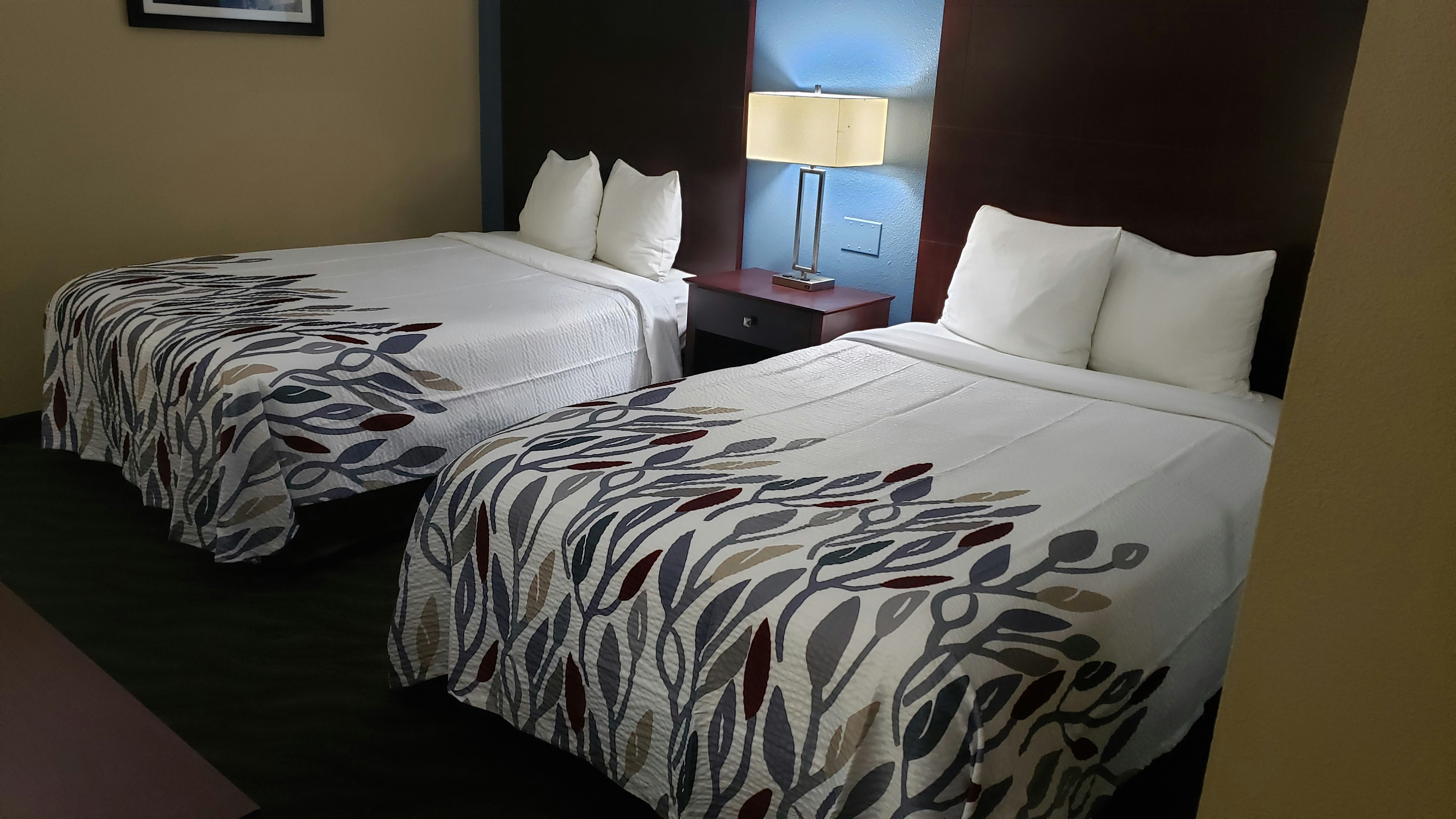 Deluxe 2 Full Beds Non-Smoking