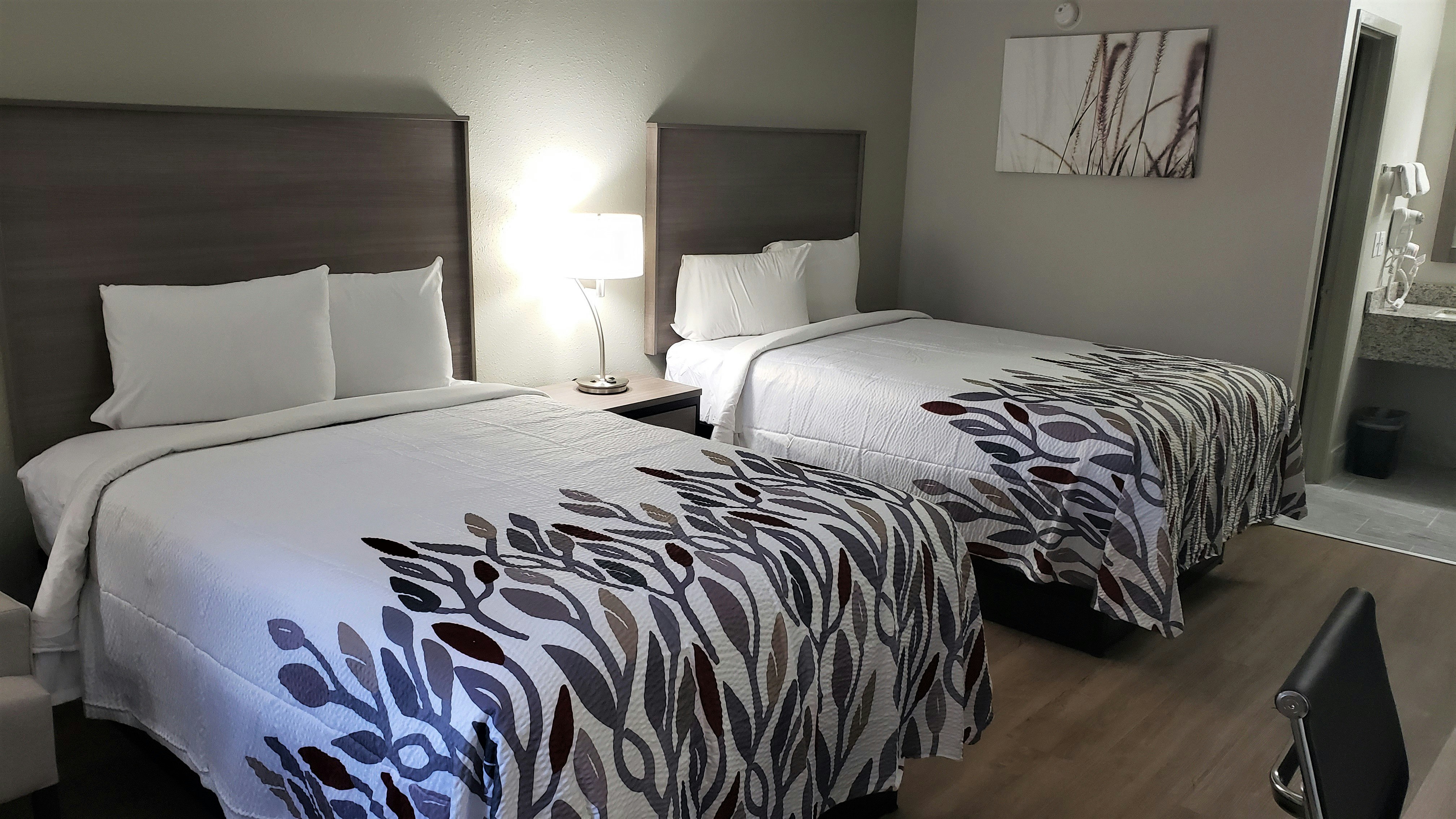 Deluxe 2 Full Beds Non-Smoking